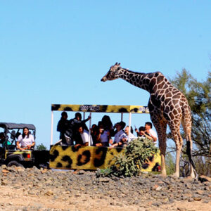 Ecological Center of Sonora